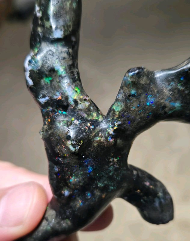 HUGE! BEST ONLINE! RARE INDONESIAN BLACK PETRIFIED OPAL WOOD! AAA MUSEUM FOSSIL!