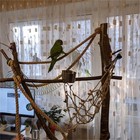 Bild 6 von 9