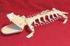 VINTAGE MOTU HE MAN BATTLE BONES ACTION FIGURE CARRIER MATTEL 1984