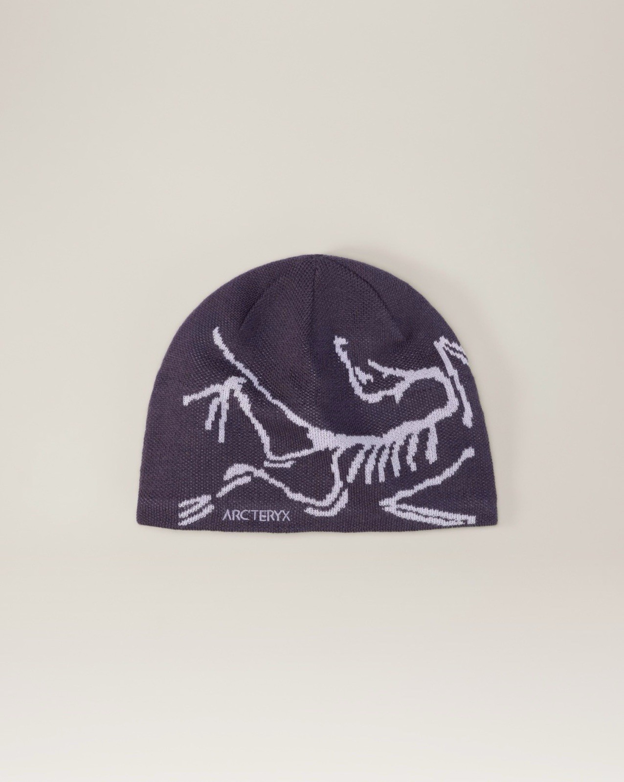 Arc'teryx Bird Head Toque Beanie Moondrop