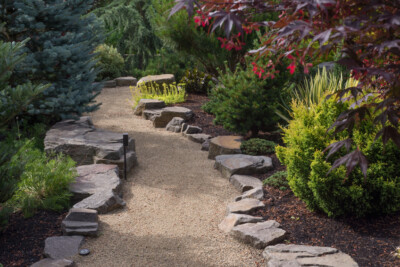 Rei&szlig;festes Unkrautvlies In Premiumqualit&auml;t Mit Hoher UV-Stabilisierung 30m X 1,6m = 48m&sup2;, Grammatur: 100g/m&sup2;