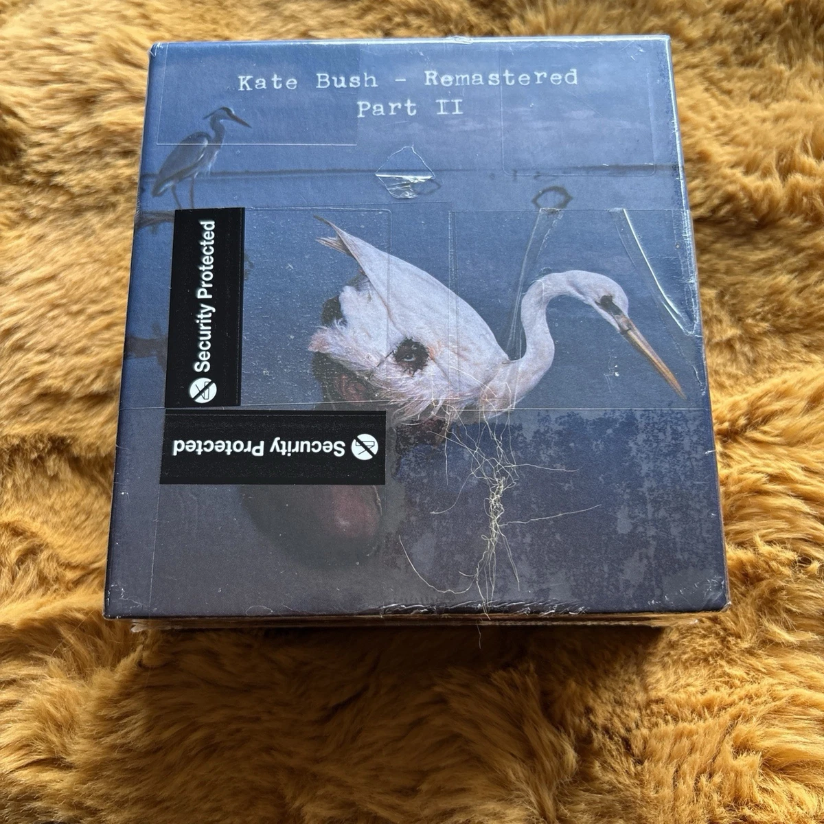 Kate Bush Box Set Music CDs for sale | eBay UK