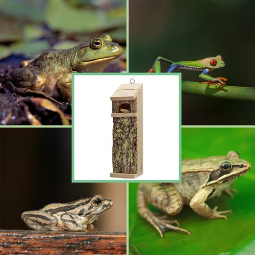 Wooden Tree Frog House, Deluxe Outdoor Frog Habitat, Handmade in the USA - Picture 5 of 9