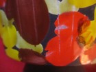 Bild 4 von 9