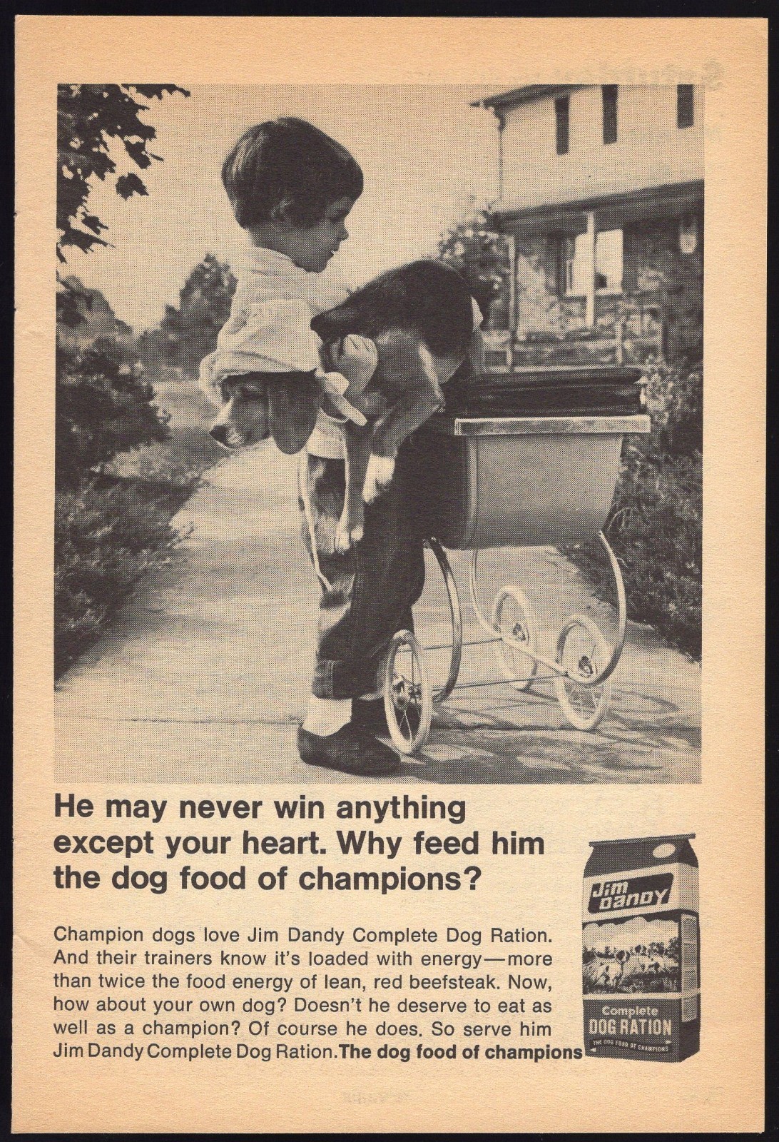 Ad ~ Jim Dandy Dog Ration Little Girl Beagle In Baby Stoller