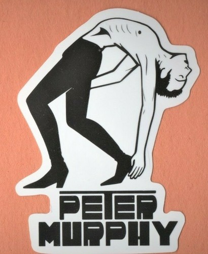 BAUHAUS/ Peter Murphy STICKER rock HORROR post punk NEW WAVE GOTH dark INDIE XX - Picture 14 of 14