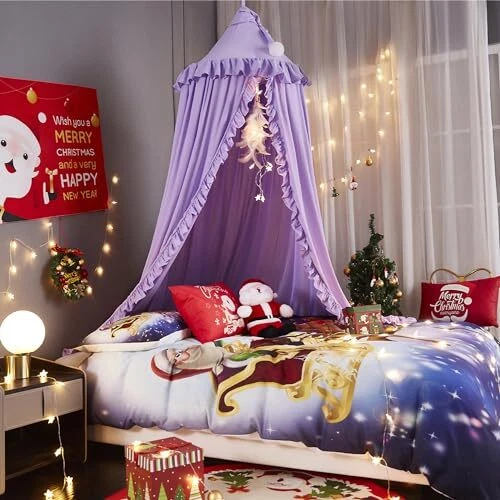 Wish bed canopy online