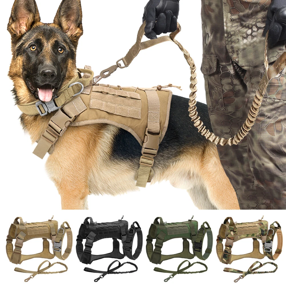 Military dog carrying clearance harness