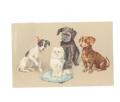 SE2096 ANIMALS  DACHSHUND, TECKEL POSING WITH HIS FRIENDS PRINTED PC