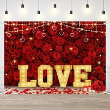 Happy Valentines Day Backdrop Red Love Photography Decorations Fits 7x5ft