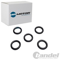 Dr.Motor Automotive Dichtring ÖLablassschraube Passend FüR Ford Tourneo