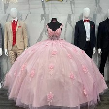 Pink Ball Quinceanera Dresses 3D Flowers Illusion Bodice Birthday Party Dress