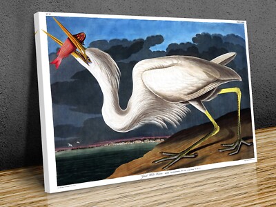 Great White Heron Ardea Occidentalis canvas print art wall framed or print only