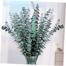 21 Pcs Real Dried Eucalyptus Stems, 17" Natural Fresh Eucalyptus Branches for
