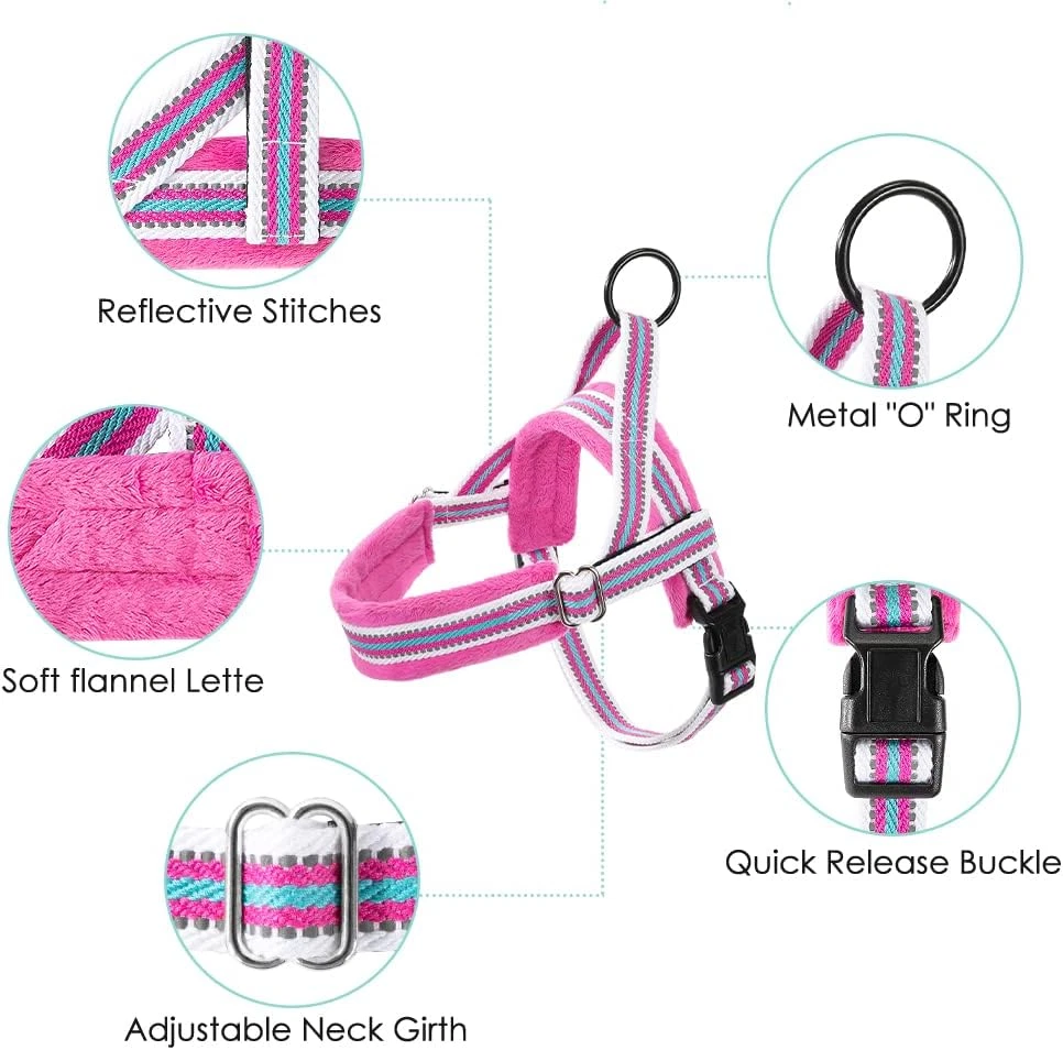 Dog Harness and Leash Set, Soft Padded Small Dog Harness, Neck & Chest Adjustabl