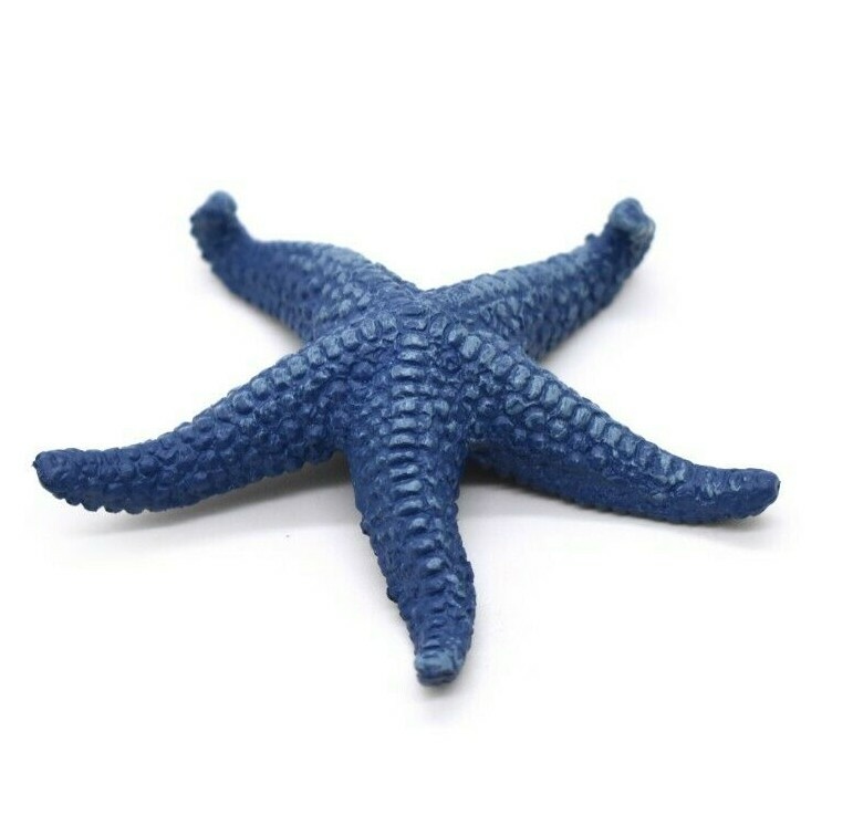 starfish Absurd Creature of the Week: The Two-Foot-Wide Sea Star That's