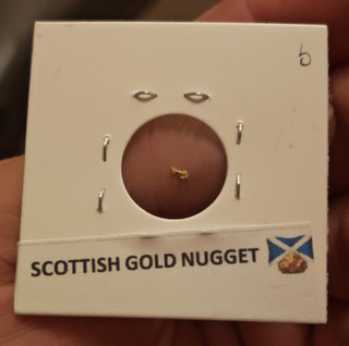 Scottish Gold Nugget in Display Holder Uncertified 1 Unit