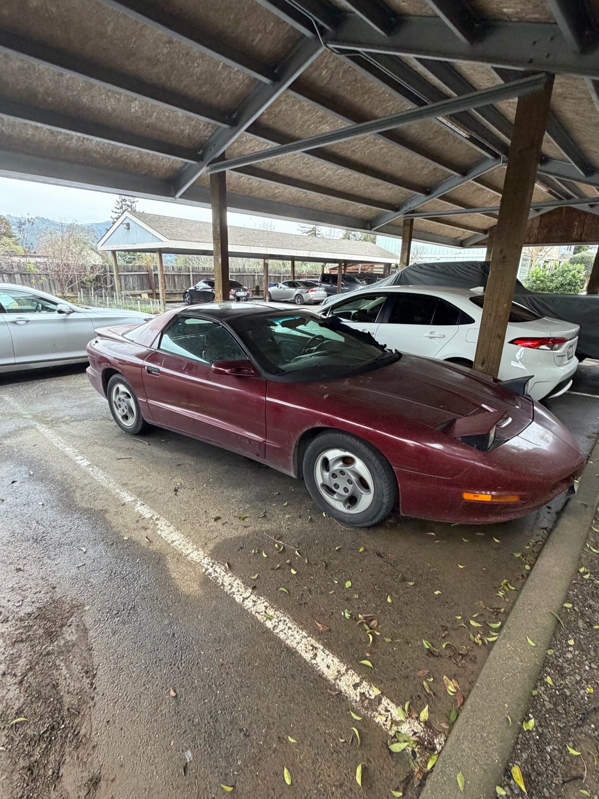 1994 Pontiac Firebird for sale in Geyserville California