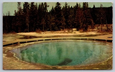 Vintage Morning Glory Pool Yellowstone Park Postcard Haynes Studios