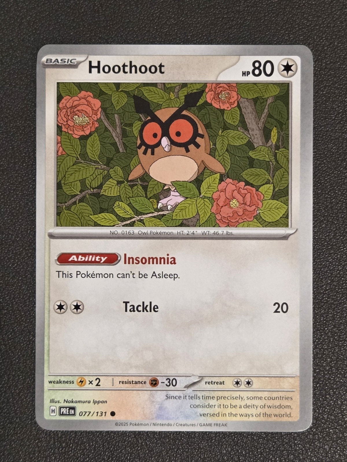 Hoothoot - 77/131 - Common Regular - Pokemon Prismatic Evolutions - NM