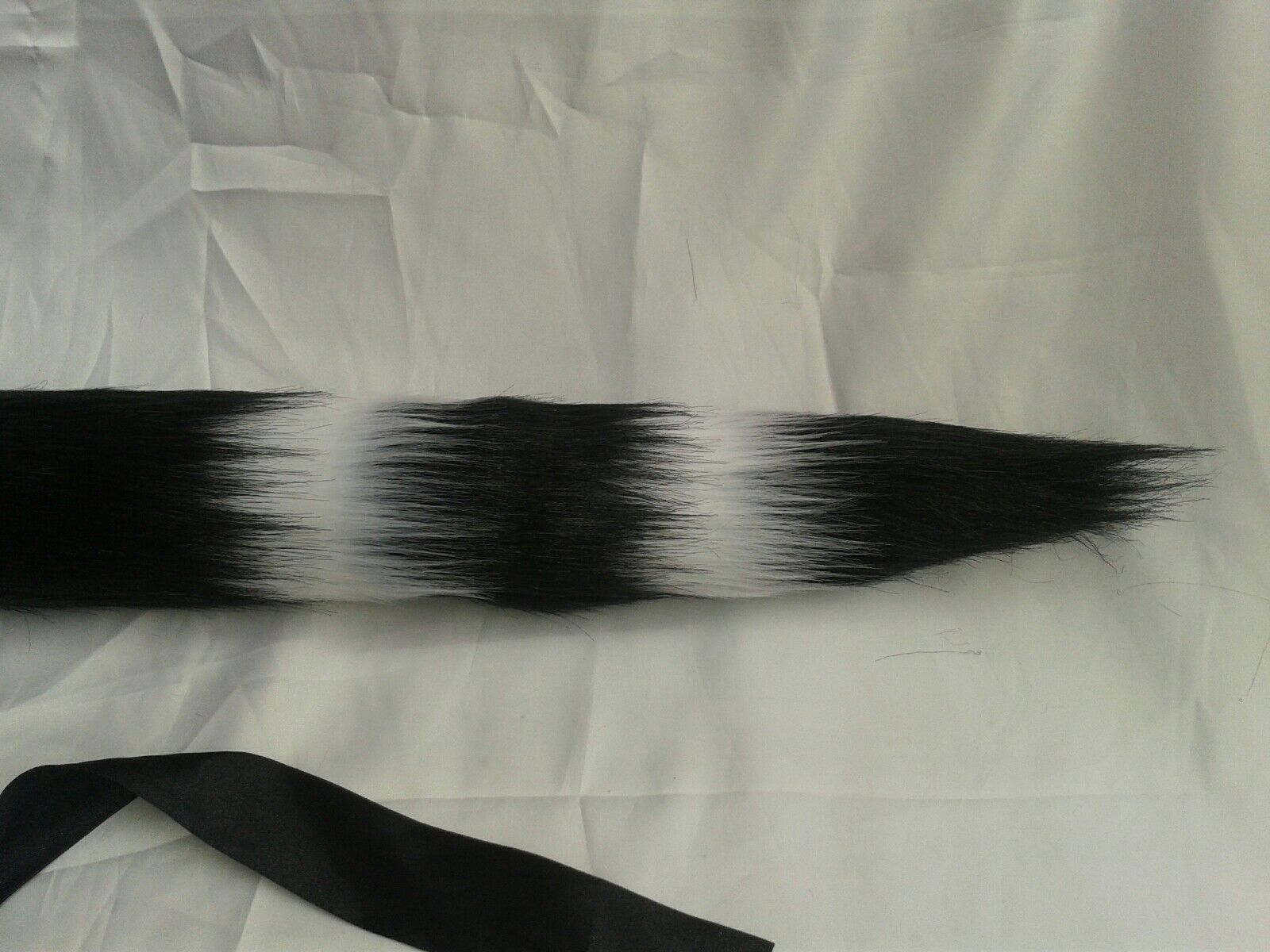 Bild 3 von 5
