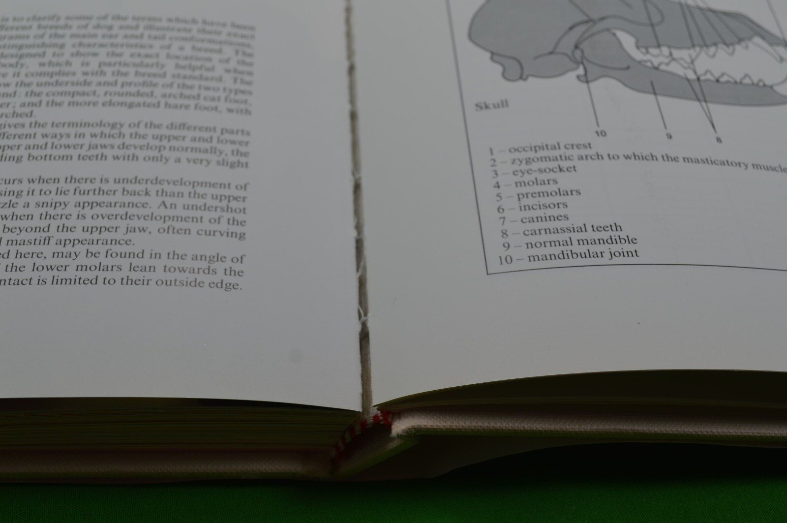 Picture 5 of 7