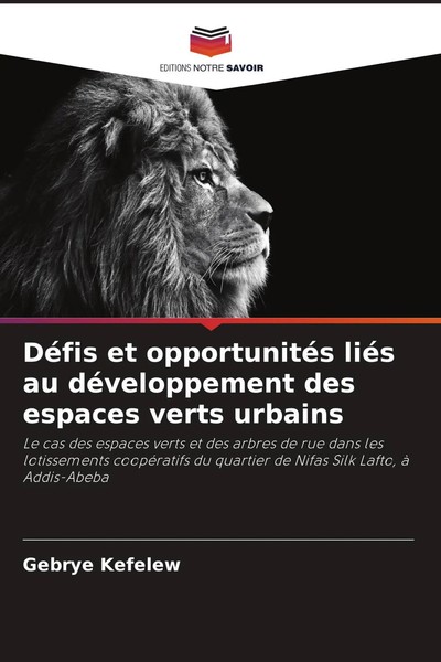 Gebrye Kefelew | DéFis Et OpportunitéS LiéS Au DéVeloppement Des Espaces...-image