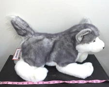 Douglas Plush Nadia Husky Dog The Cuddle Toy #1854 Realistic Big XL Jumbo Tags