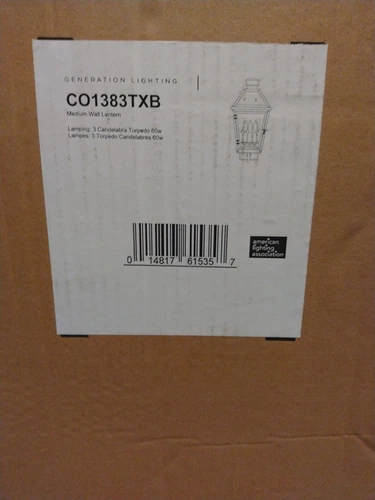 Co1383txb Generation Hyannis Outdoor Wall Lantern Hard Wired 21.25" Elegant - Picture 3 of 11
