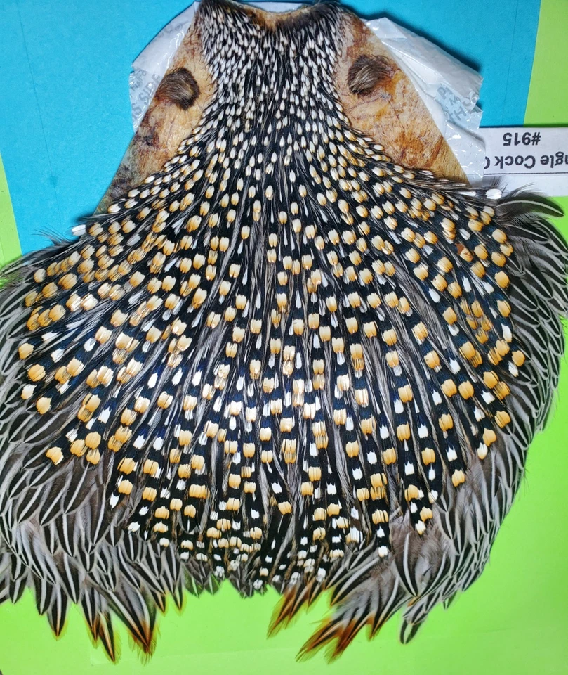 Jungle Cock Cape SUPER   AAAA 915 - Image 2 of 4