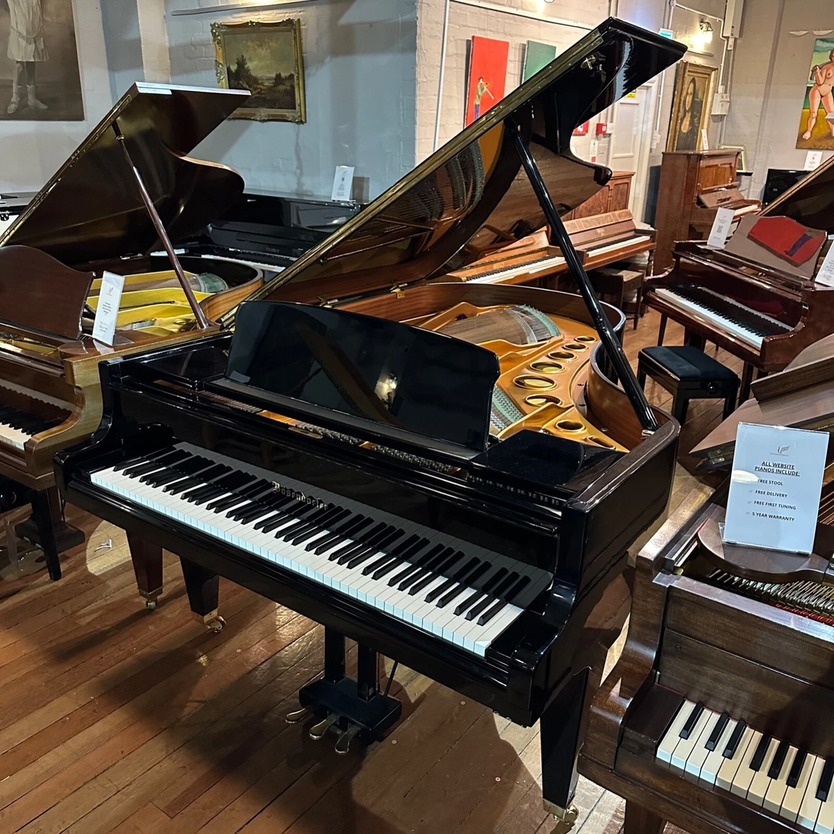 Bosendorfer 200 2024