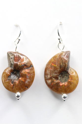 Ammonite Fossil Snail Gemstone Earrings 925 Sterling Silver Cephalopod Nautilus - Picture 3 of 4