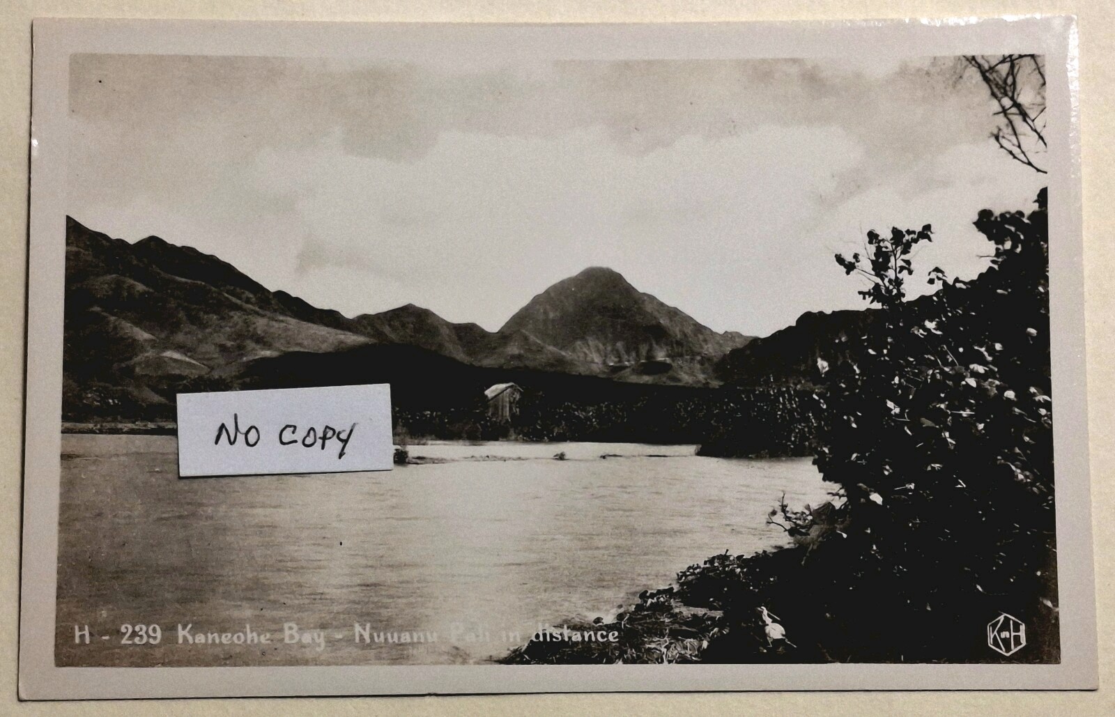 1940's Kaneohe Bay Oahu Nu'uanu Pali in Distance H-239 TH Hawaii RPPC