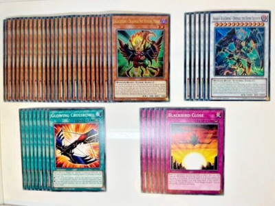 yugioh blackwing deck for sale Yu-Gi-Oh! Complete Tournament Ready! : Toys & Games Yugioh Competitive Blackwing Deck +