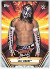 2019 Topps WWE SummerSlam Jeff Hardy #34