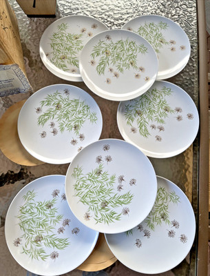 45Pc Texas-Ware/ Park Ave MELMAC Melamine Dinner Plate Bowls Cups Floral VTG MCM