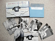 Animal Classics 9 x Black & White Note Cards & Blue Envelopes Dog Cat Elephant