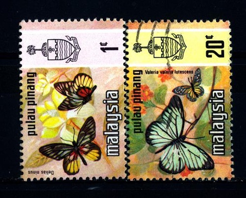PENANG - 1971 - Schmetterling