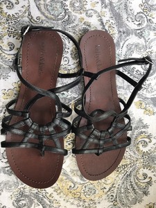 kelly and katie paisly sandal