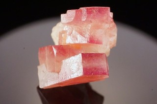 EXTRAORDINARY RARE Pezzottaite Crystal Cluster SAKAVALANA MADAGASCAR