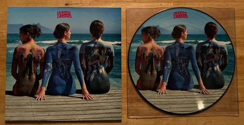 33 12" PICTURE DISK LP PINK FLOYD WELCOME TO PARIS JAPAN FAN CLUB EDITION