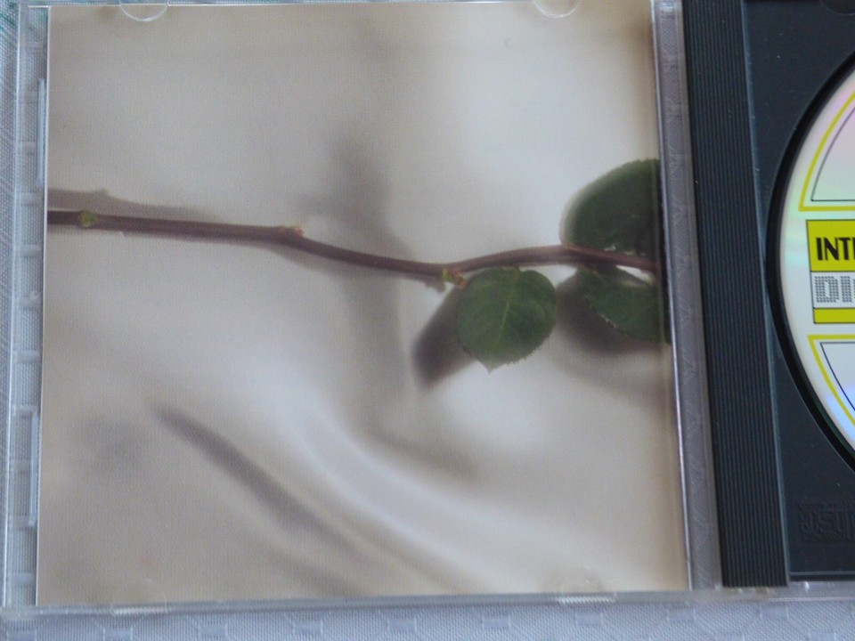 CD Digital Surround Sound Love Survives Ballads Spectrum eBay