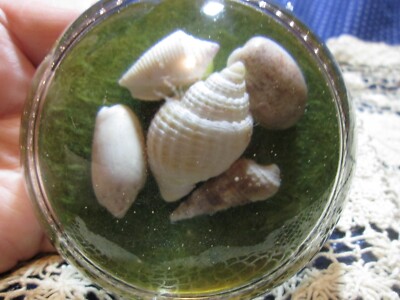 Vintage Acrylic Lucite Resin Half-Dome Sea Shells Paperweight Decor For Desktop
