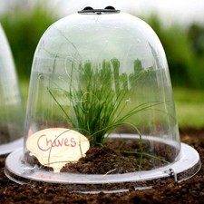 Haxnicks 3 x Baby Victorian Bell Garden Cloches Plastic Plant Protection