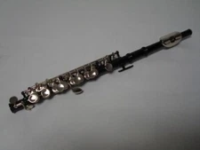 Professional Piccolo Black Silver C Key School Band