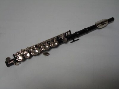 Professional Piccolo Black Silver C Key School Band