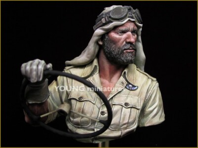 バスト　SAS北アフリカ　1941 1/9 完成品 バスト SAS北アフリカ 1941 1/9 完成品 サイバーホビー 1/6 WW