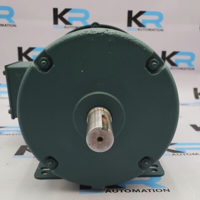 Leeson 120922.00 Watt Saver Inverter-Duty Premium Efficiency