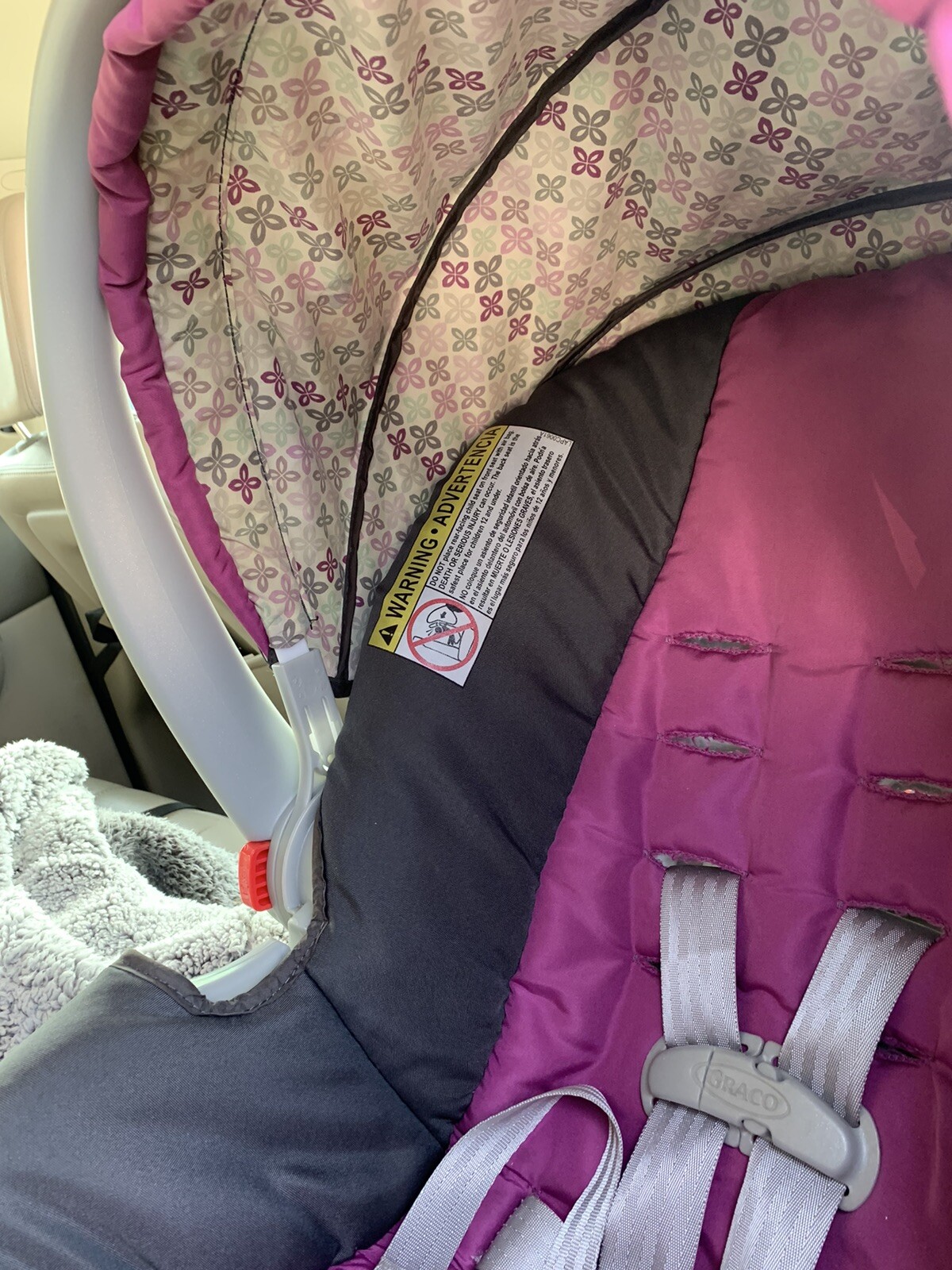 graco tasha car seat