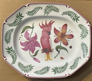 lynn chase parrots of paradise | eBay